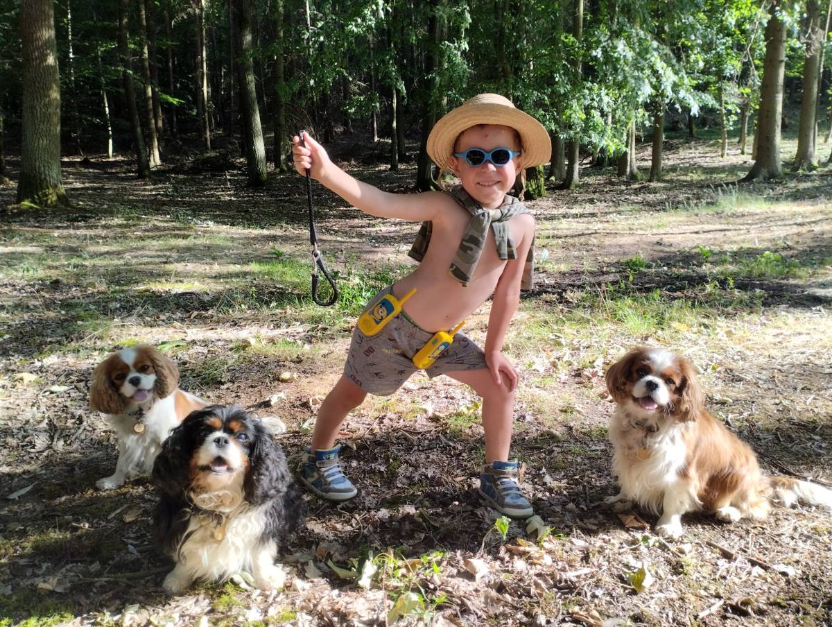 Z královských komnat - Chovatelská stanice plemene kavalír king charles spaniel